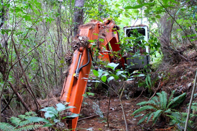 Neozelandês encontra uma escavadeira abandonada no mato faz 16 anos e consegue fazê-la funcionar
