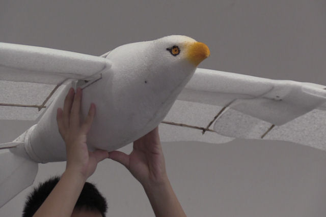 Apresentam um drone em forma de pssaro na China