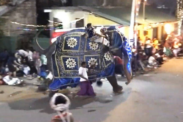 Elefante enfurecido investe contra multido durante um desfile no Sri Lanka