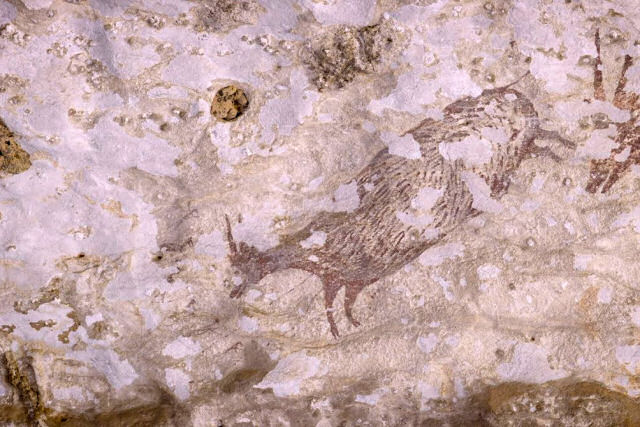 Pesquisadores descobrem a arte figurativa mais antiga do mundo em uma caverna da Indonésia
