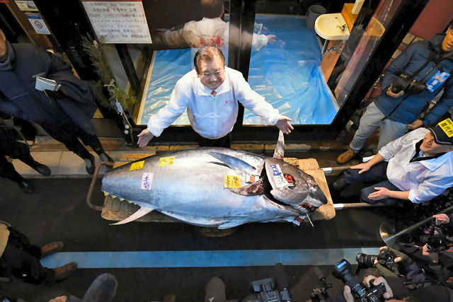 O 'rei do atum' ganha um leilão ao pagar 7,3 milhões de reais por um atum vermelho gigante