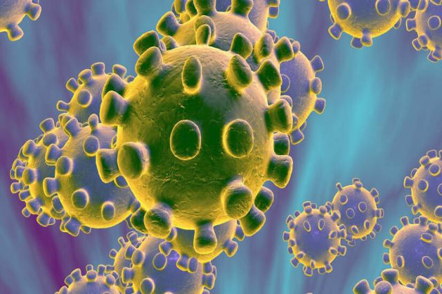 Descobrem o 'calcanhar de Aquiles' dos vírus que poderia abrir o caminho a uma vacina universal contra as infecções<br />
