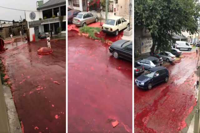 Bairro argentino  inundado por um rio de sangue depois do rompimento do tanque de um matadouro