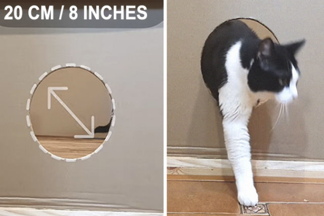Qual o tamanho do buraco para que um gatinho deixe de ser 'líquido'?