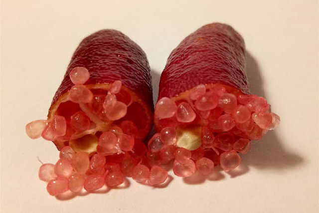 frutas gourmet altura total de 90 diámetro de 22 cm Lima de dedos australiana limas caviar tronco 30 microcítricos 100 cm australasica 