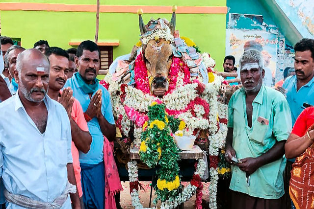 Cerca de 200 aldeões indianos desafiam a quarentena para ir no enterro de um touro