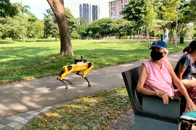 Singapura pe rob-co da Boston Dynamics para patrulhar seus parques para manter o distanciamento