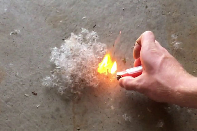 O hipnotizante vídeo de uma queimada de sementes de álamo feita por bombeiros espanhóis