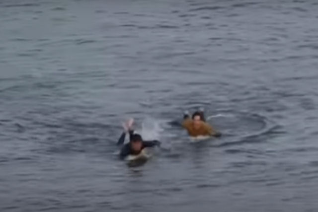 Surfista é atacado por um tubarão, mas se safa após golpear o animal