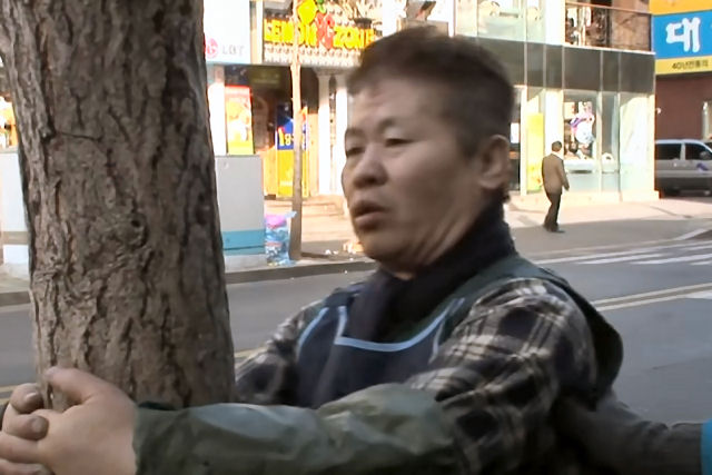 Sul-coreano treina batendo a cabeça contra uma árvore todos os dias há cinco anos