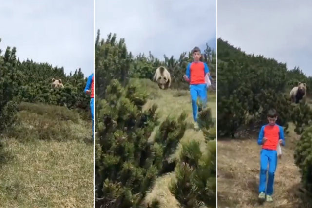 Um menino mostra o que fazer quando um urso o persegue em um vale na Itália
