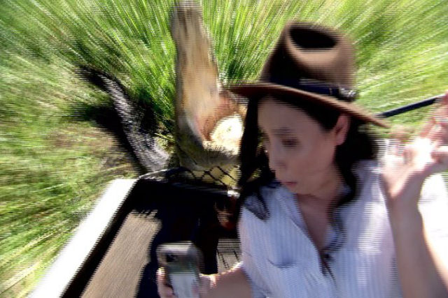 Jornalista posa para uma selfie com um crocodilo e acaba levando o susto de uma vida