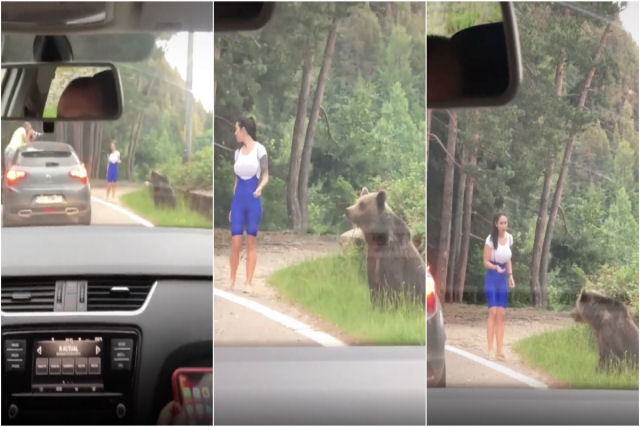 Garota tentou tirar uma foto com um urso selvagem na Romênia