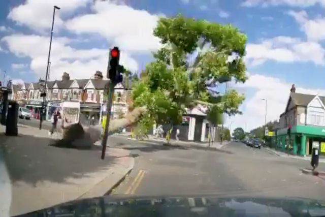 Árvore quase cai sobre duas pessoas em um cruzamento, em Londres