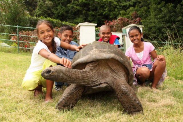 Tartaruga gigante da Seicheles, chamada Jonathan, é o animal mais longevo vivo do mundo