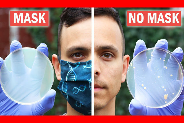 Youtubers mostram em um experimento como as máscaras podem deter a propagação de bactérias