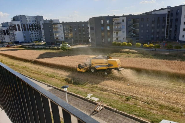 Agricultores poloneses seguem lavrando terras no meio de modernos edifícios dentro de Lublin