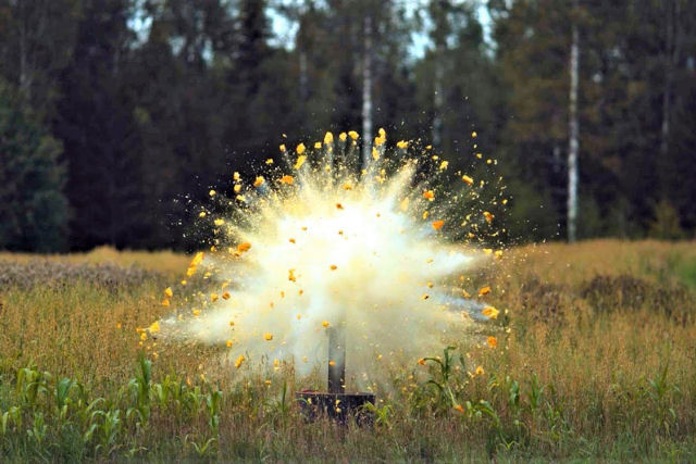 YouTubers explodem abóboras usando diferentes graus de explosivos