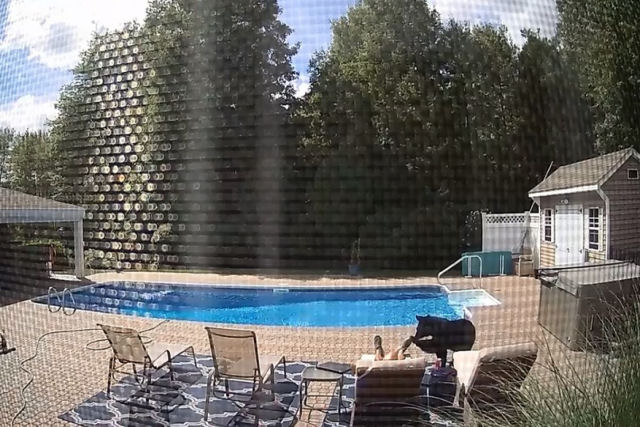 Urso-negro acorda um homem dormindo junto à piscina de sua casa