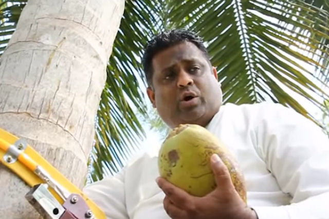 Ministro do Sri Lanka dá entrevista trepado em uma palmeira com um coco na mão