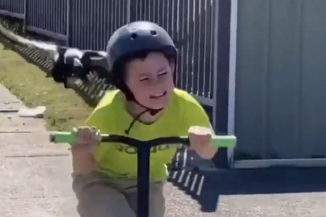 Vídeo de uma criança perseguida por uma gralha é 90% hilário, 10% assustador e 100% australiano