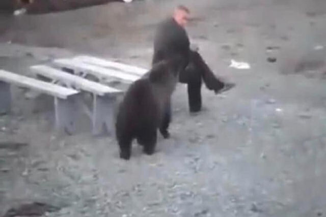 Russo não dá a mínima para urso vagando perto dele