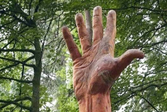 Artista usa motosserra para transformar árvore danificada em uma mão que alcança o céu