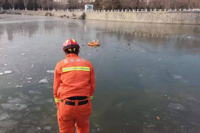 Bombeiros chineses resgatam um husky a ponto de morrer em um lago congelado