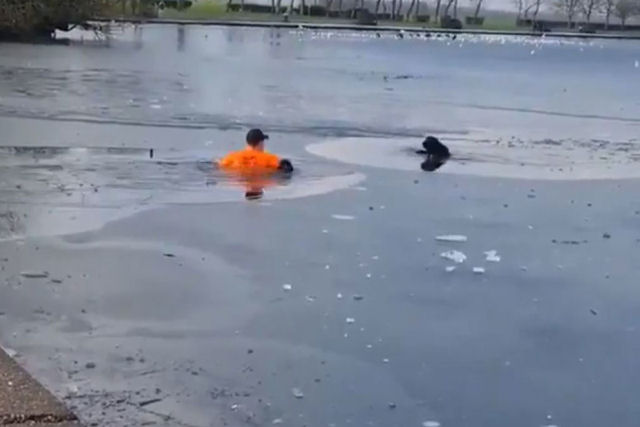 Homem salta às águas de um lago congelado para salvar um cão