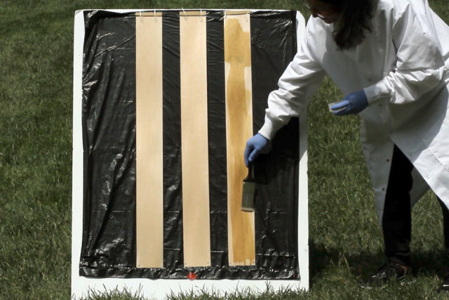 Pesquisadores descobrem um modo simples de tornar transparente a madeira