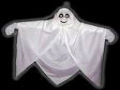 Britânico gravou a imagem de um fantasma que vive em sua casa
