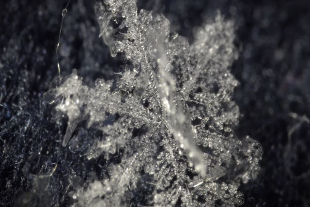 Ver flocos de neve derretendo com uma lente macro é tão hipnótico quanto relaxante