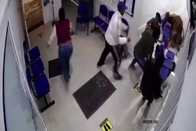 Vaca bota o terror em hospital na Colômbia