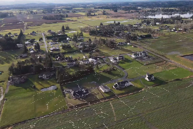 Drone grava a beleza incrível de uma revoada de gansos selvagens, no Canadá