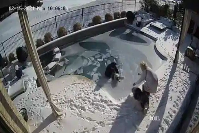 Texano tenta tirar sua cadela da piscina congelada e acabam os dois na água