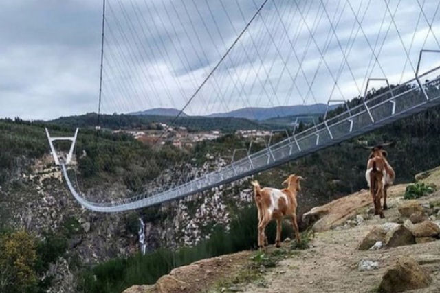 Portugal abre a maior ponte pênsil para pedestres do mundo, e é só para os corajosos