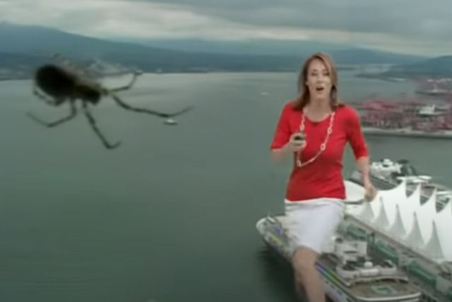 Aranha gigante 'ataca' a mulher do tempo