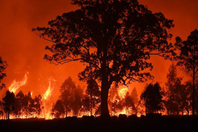 Mundo em chamas: incêndios da Califórnia, Grécia e Sibéria são só o começo?