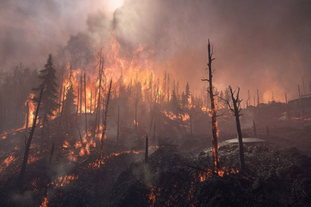 Incêndios florestais na Sibéria agora são maiores do que todos os outros incêndios no mundo juntos