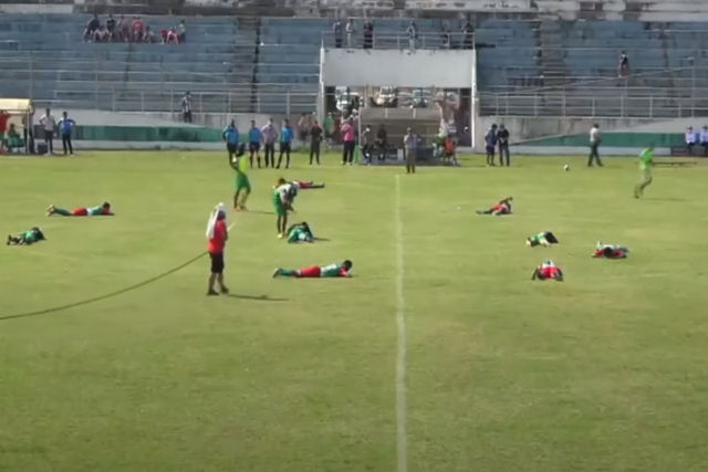 Abelhas atacam jogadores e paralisam uma partida de futebol na Bolívia