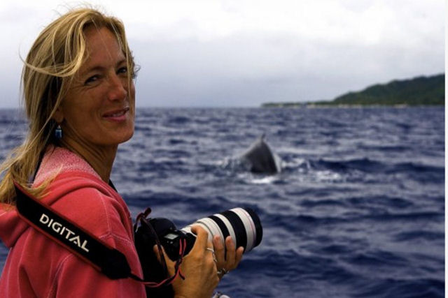 A história da baleia-jubarte que salvou a vida de uma bióloga