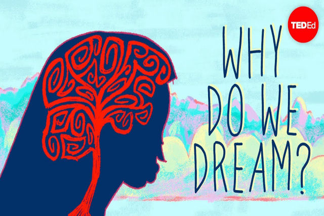 Por que sonhamos?: Uma lição animada 