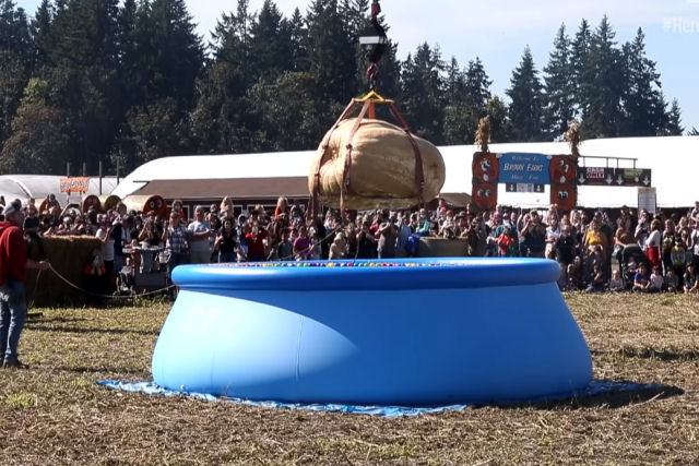 A queda da abóbora gigante em um festival da colheita
