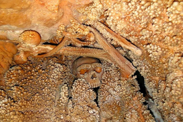 O Homem de Altamura é um dos fósseis paleolíticos mais completo e bem preservado já descobertos