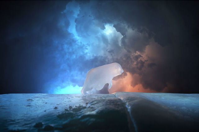 Urso-polar de gelo cruza paisagem ártica que está derretendo em um poderoso stop-motion