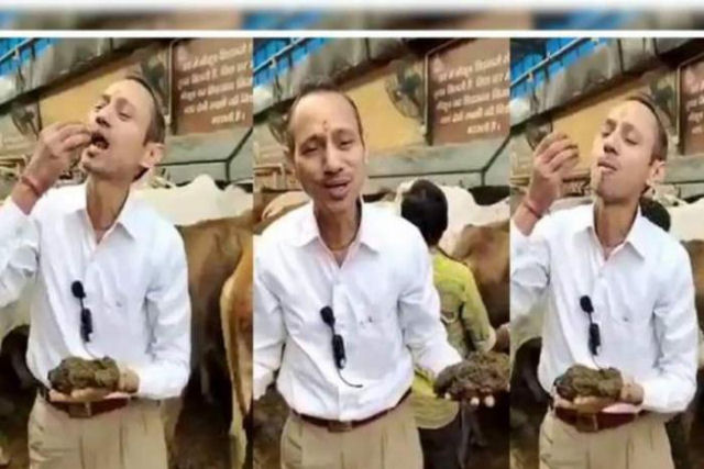 Médico indiano come estrume de vaca para purificar o corpo, a mente e a alma