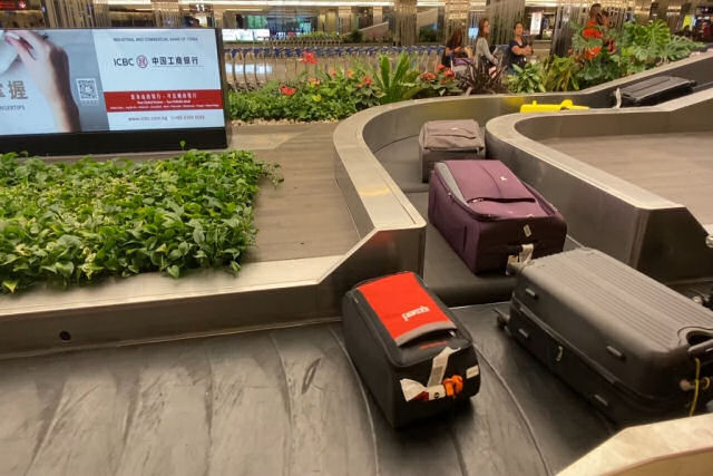 Malas aguardam educadamente aguardam sua vez de entrar na esteira de bagagem no aeroporto de Changi, em Cingapura