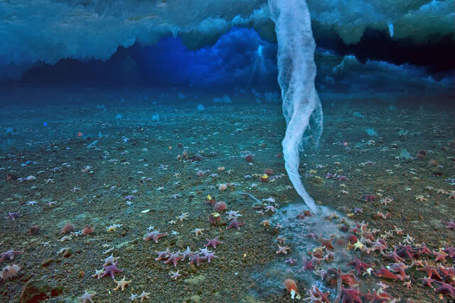 Brinícula: o braço de gelo da morte na Antártida