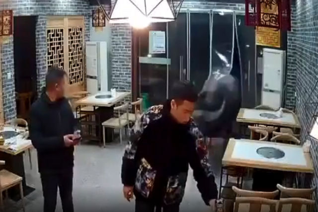 Búfalo invade restaurante e joga o dono do negócio pelos ares