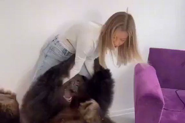 Tiktoker russa é investigada por levar um enorme urso para entreter seu filho de um ano